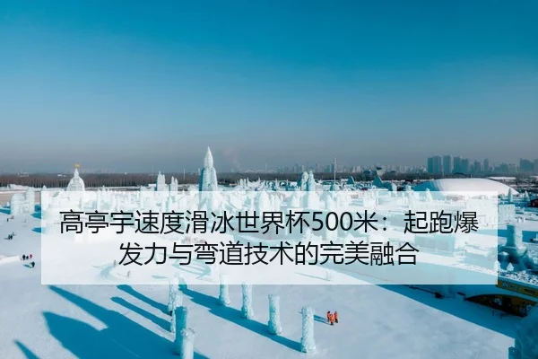 高亭宇速度滑冰世界杯500米：起跑爆发力与弯道技术的完美融合