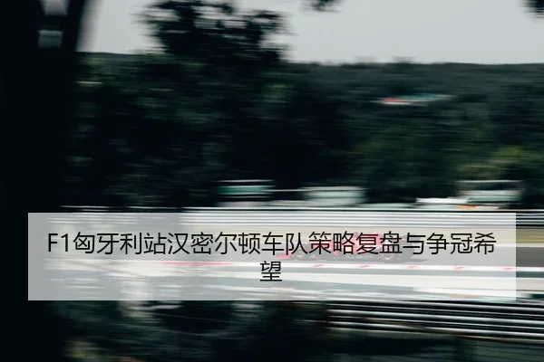 xiong-ya-li-zhan-han-mi-er-dun-che-dui-ce-lve-fu-pan-yu-zheng-guan-xi-wang-2-601.jpg