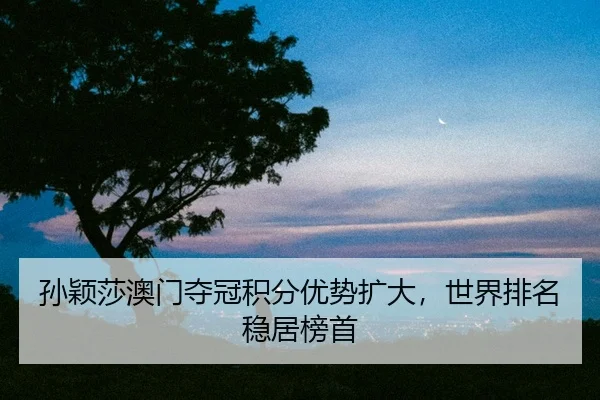 sun-ying-sha-ao-men-duo-guan-ji-fen-you-shi-kuo-da-shi-jie-pai-ming-wen-ju-bang-shou-2-471.jpg