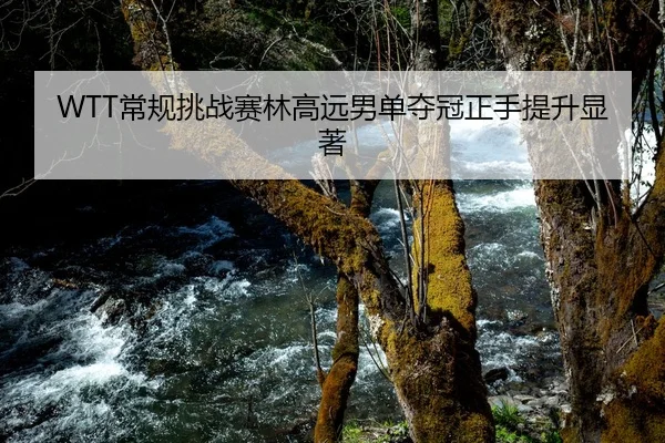 WTT常规挑战赛林高远男单夺冠正手提升显著