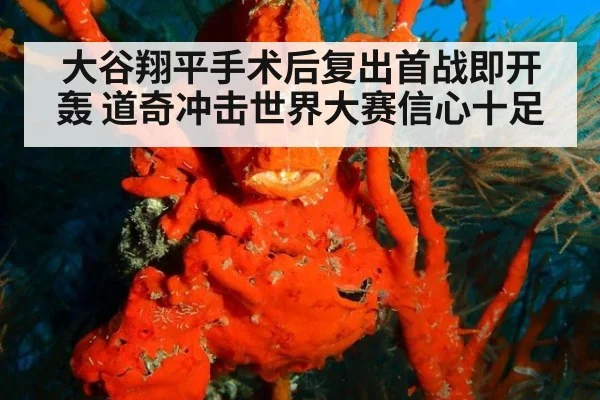 大谷翔平手术后复出首战即开轰 道奇冲击世界大赛信心十足
