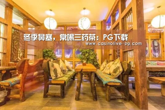 PG下载