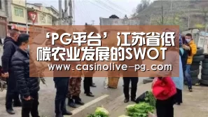 PG下载